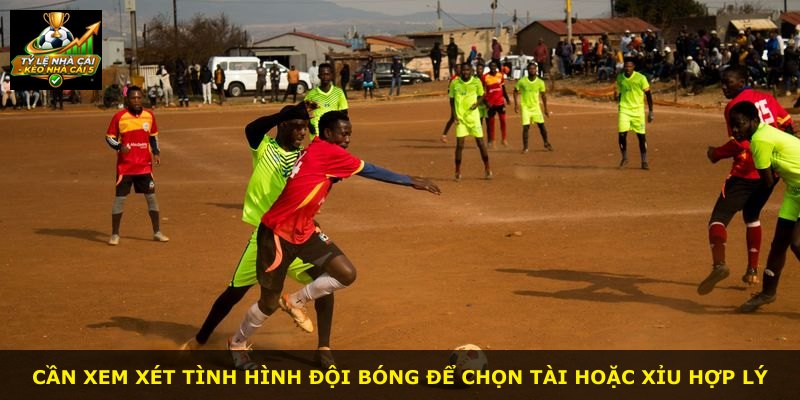 Cần xem xét tình hình đội bóng để chọn Tài hoặc Xỉu hợp lý